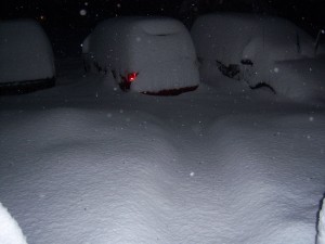 6:30 AM on Saturday.  20" of snow!